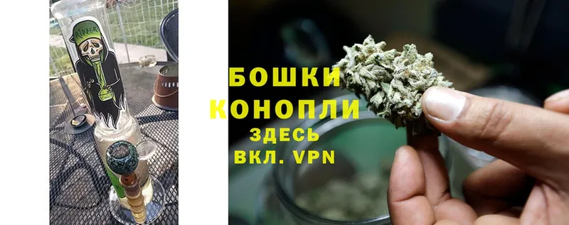 купить наркоту  Пустошка  Бошки Шишки SATIVA & INDICA 